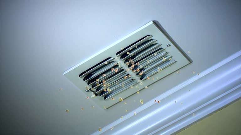 Best Best Air Duct Cleaning Company  in Flagtown, NJ
